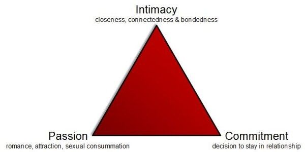Anatomy Of Affection: Dissecting The Complexities Of Love