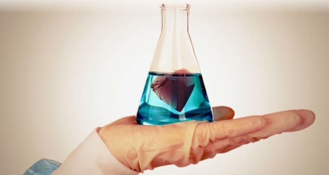 Anatomy Of Affection: Dissecting The Complexities Of Love