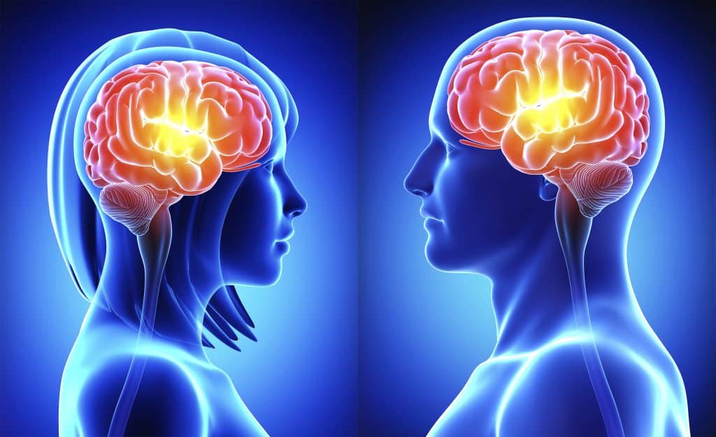 Why Does Heartbreak Hurt So Much