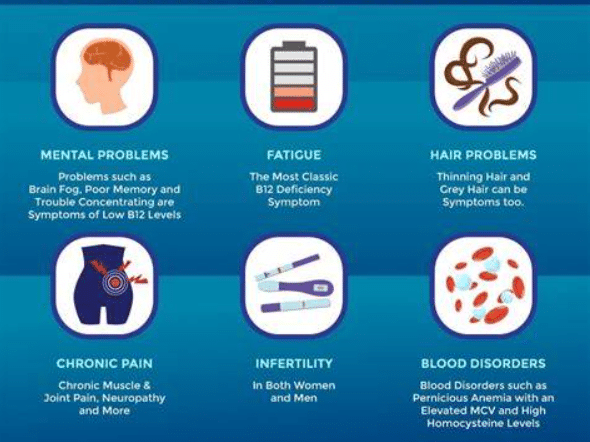 Are You Getting The Vitamins and Minerals That You Need?